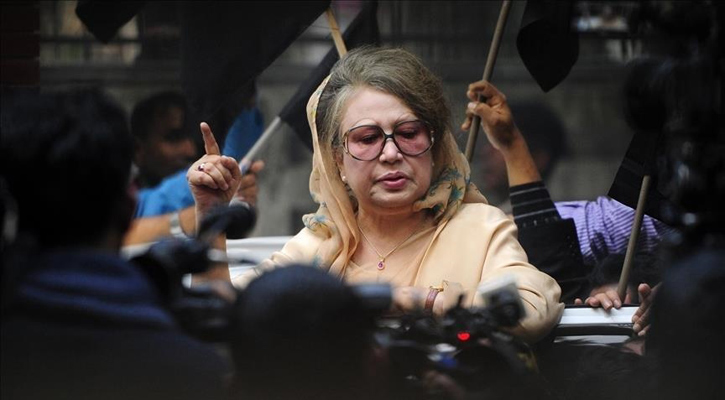 Khaleda Zia included in Fulgazi upazila BNP committe