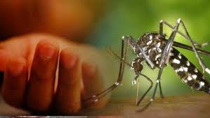 Dengue Outbreak Worsens: 4 More  Deaths in a Day, Cases Surpass 60,000